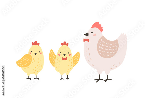 Adorable hen and chicks isolated on white background