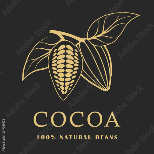 Cocoa beans with leaves on dark background. Cacao logo. Vector illustration.