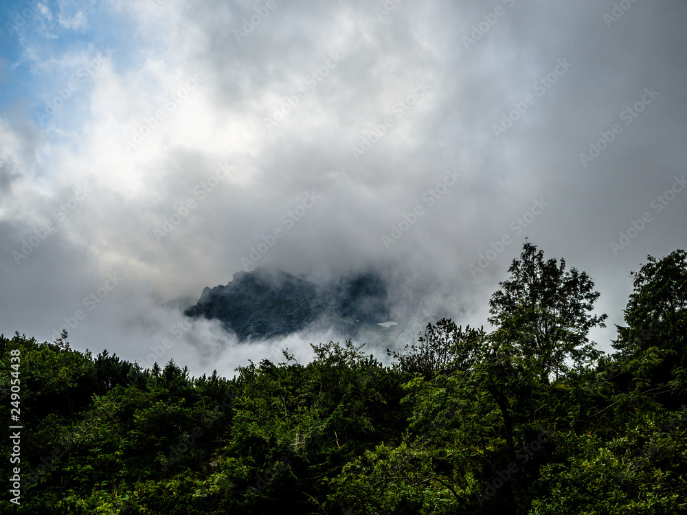 On the top of mountain with fog, cloud and forest. On the top of mountain with fog, cloud and forest.