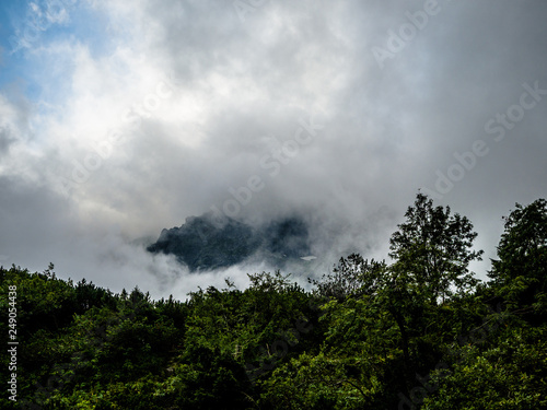 On the top of mountain with fog, cloud and forest.
