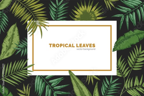 Horizontal background decorated by frame made of exotic palm tree branches, M...