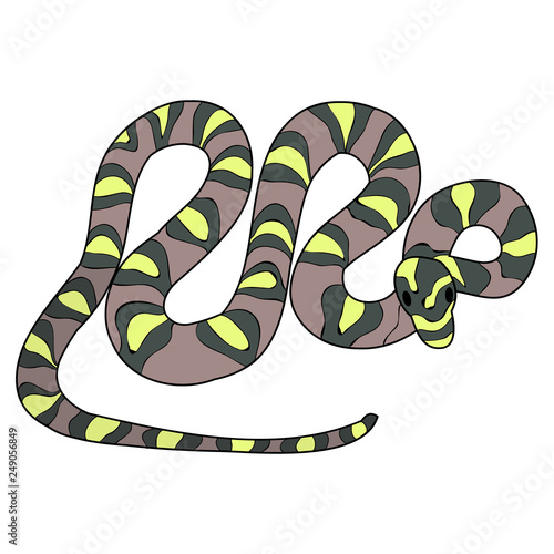 snake in isolation, vector