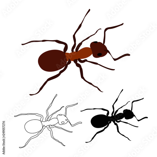 ant crawling, insect, silhouette and.sketch