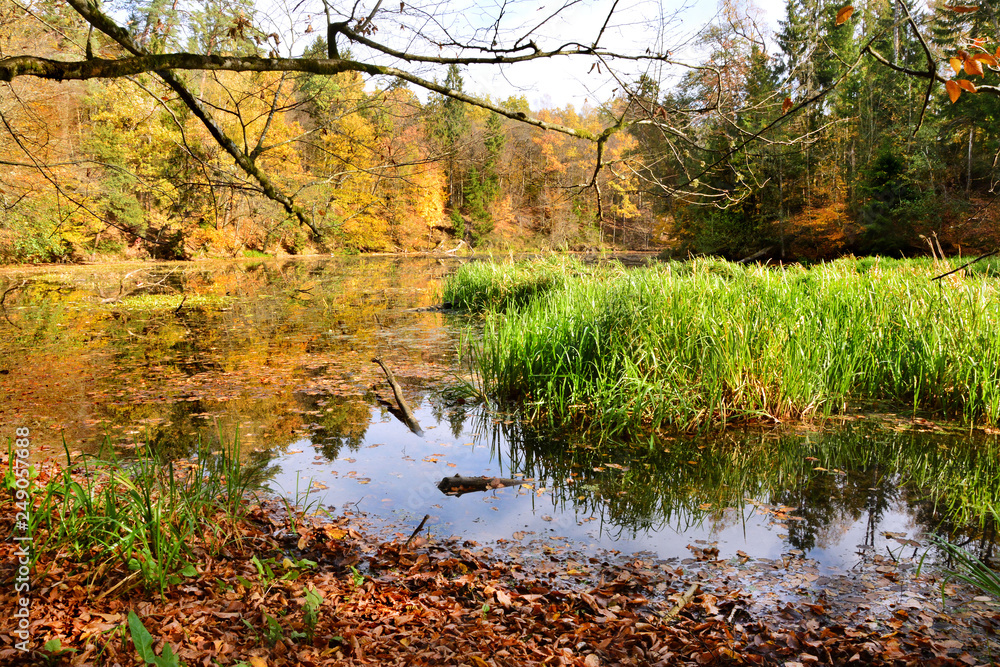 Piękny jesienny krajobraz, jezioro Piękny jesienny krajobraz, jezioro