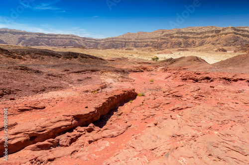 View of rocky landscape in Timna National Park  Negev desert  Israel.