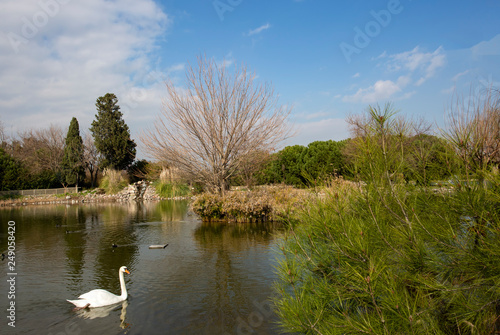 Izmır Natural life park (dogal yasam park) landscape (Izmir / Turkey) photo