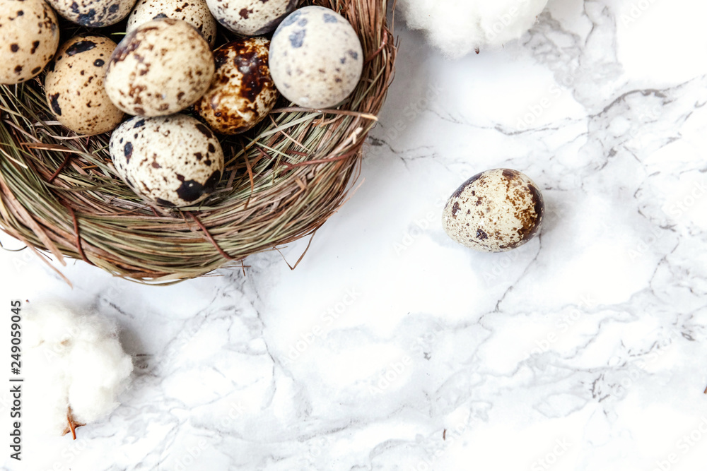 Obraz premium Easter decoration with egg in nest and cotton on white marble background. Easter concept. Flat lay top view copy space. Spring greeting card