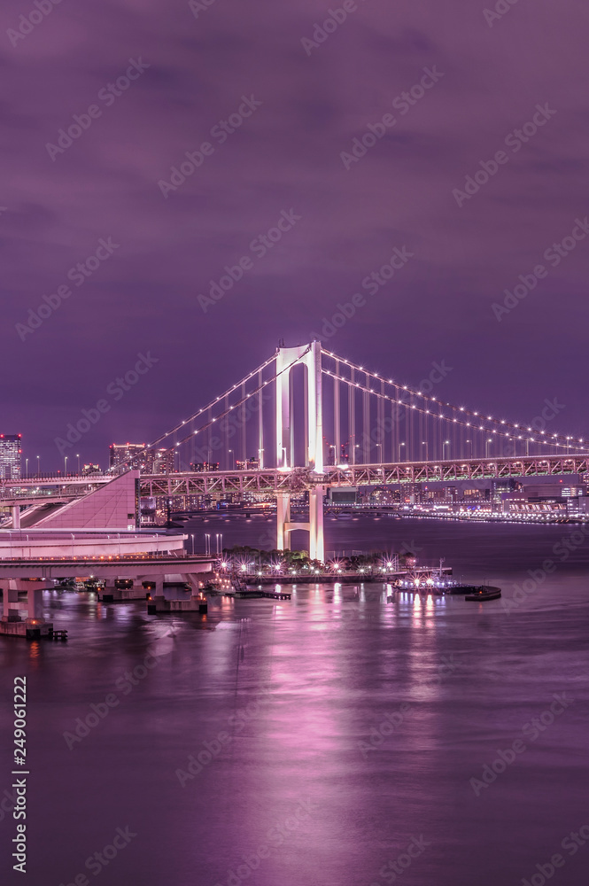Purple night on Rainbow Bridge with cruise ships moored in Odaiba Bay of Tokyo.