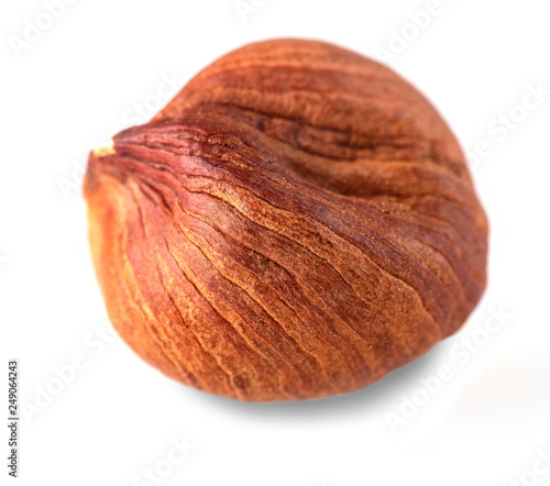The Hazelnut nut isolated on the white background. Close up