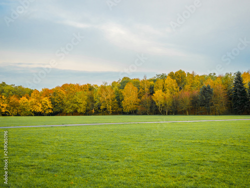 Collection of Beautiful Colorful Autumn Leaves / green, yellow, orange, red at outdoor park, a park of luminous autumnal colors, walk way with sunset in a park.