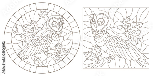 Set of contour illustrations with owls, dark contours on white background, oval and rectangular image in the frame