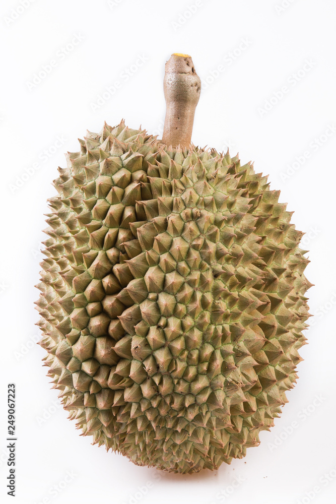 King of fruits, durian isolated on white background with clipping path / yellow durian - mon thong,Thailand King of fruits, durian isolated on white background with clipping path / yellow durian - mon thong,Thailand