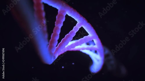 4K detailed dna scientific dimostration