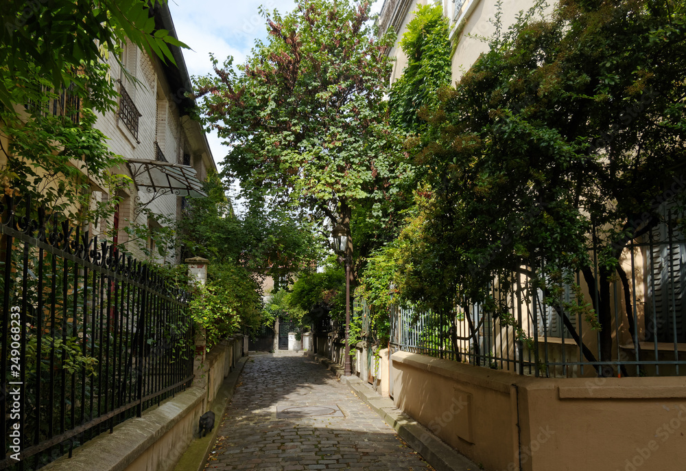 old paved street in Paris 13 th arrondissement