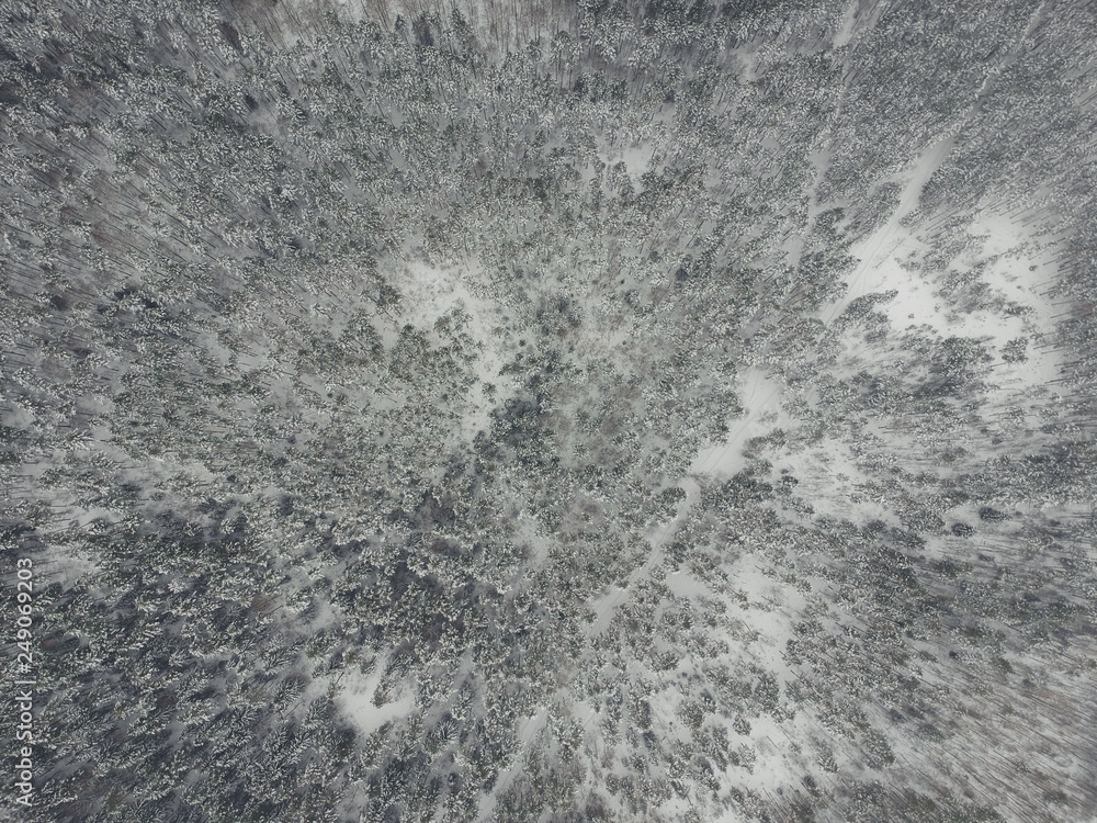 Fototapeta premium Road to winter snow-covered pine forest with quadrocopter