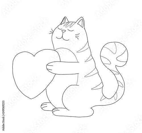 Pet animal; cute funny cat ...