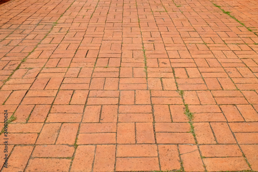 The brick path with grass