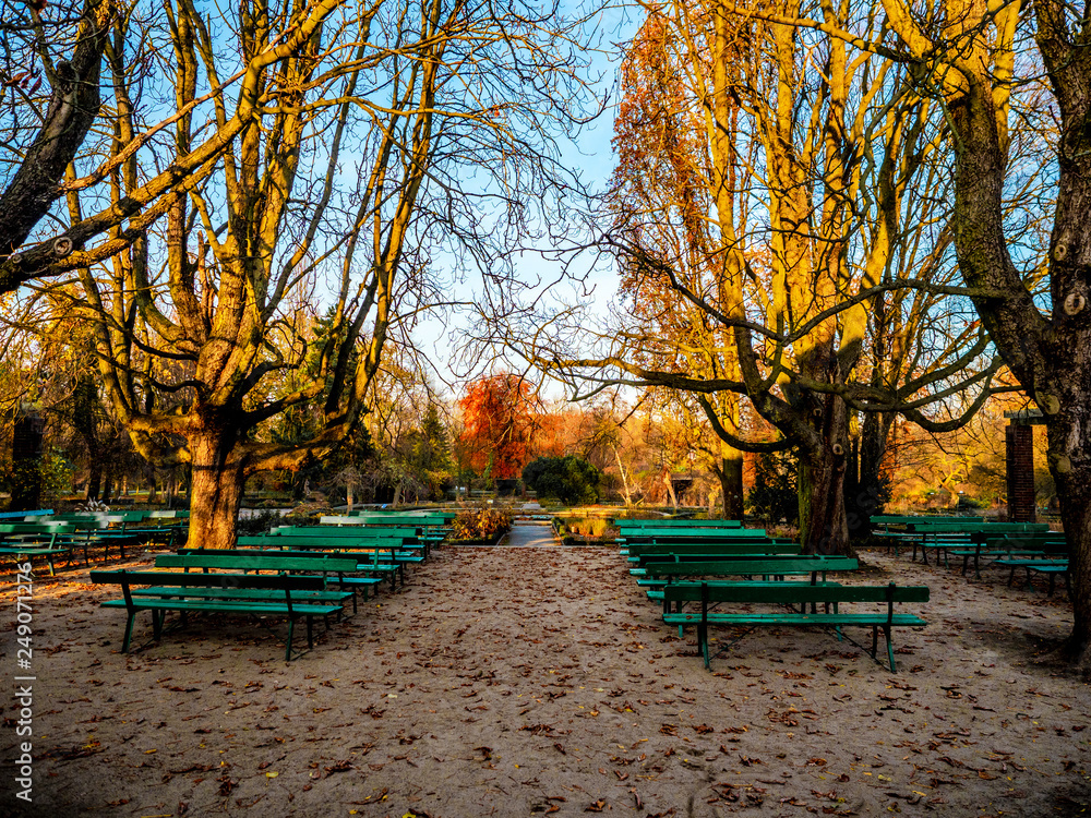 Autumn park benches, A place for wedding, lonely and broken heart concept 