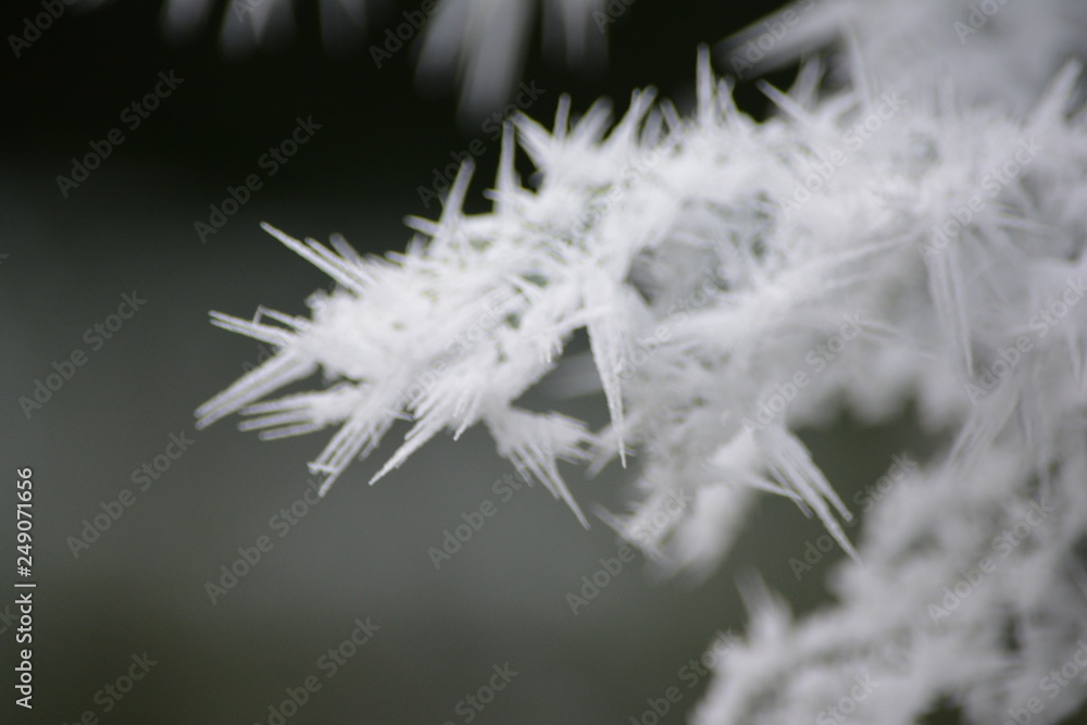 Nature & Snow Nature & Snow