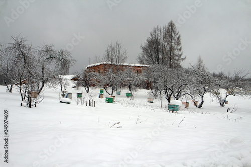  Winter in Russia