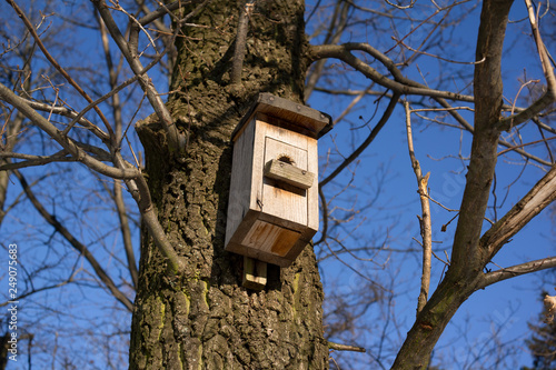Nest box / Birdbox - box as house for bird animal. Small wooden building on the bare tree in the autumn and winter. 