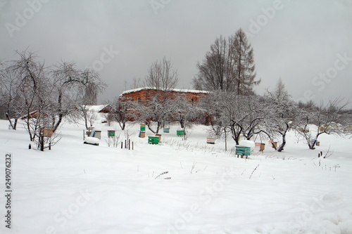 Temples and houses in the winter forest