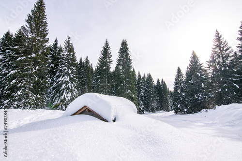 baita sepolta dalla neve nei boschi dell'altopiano di asiago in veneto photo