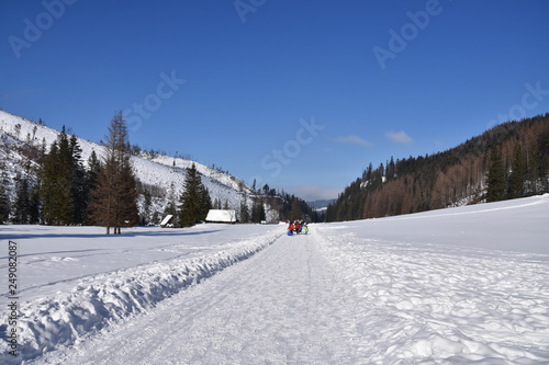 Dolina Koscieliska Tatry Zachodnie Tatry Tatrzański Park Narodowy zima TPN Góry 