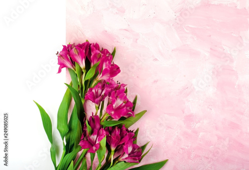 Congratulatory bouquet of flowers on a pink background. Postcard