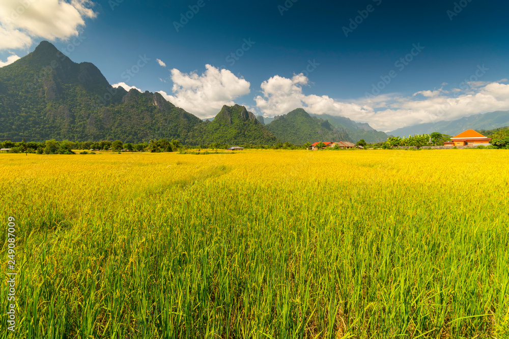 Rice field surrounded by rock formations in Vang Vieng, Laos. Vang Vieng is a popular destination for adventure tourism in a limestone karst landscape.