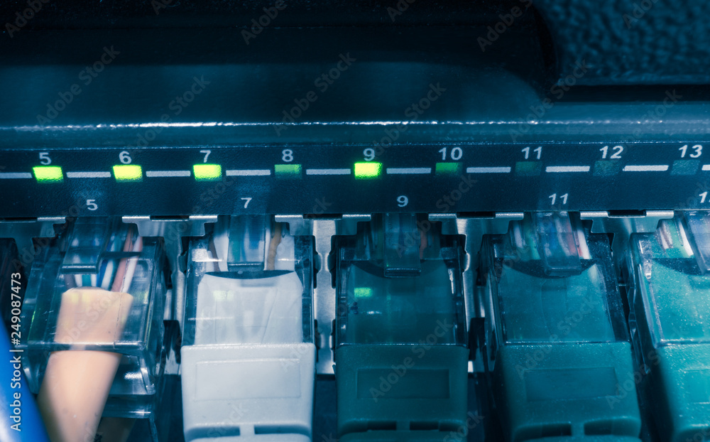 Fototapeta premium Light blue patch cord internet cables connected