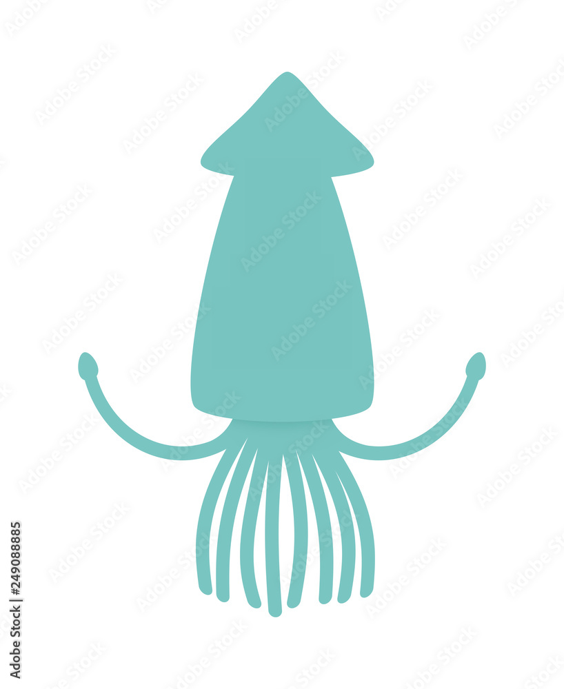 7 Best 海生軟体動物 Images Stock Photos Vectors Adobe Stock