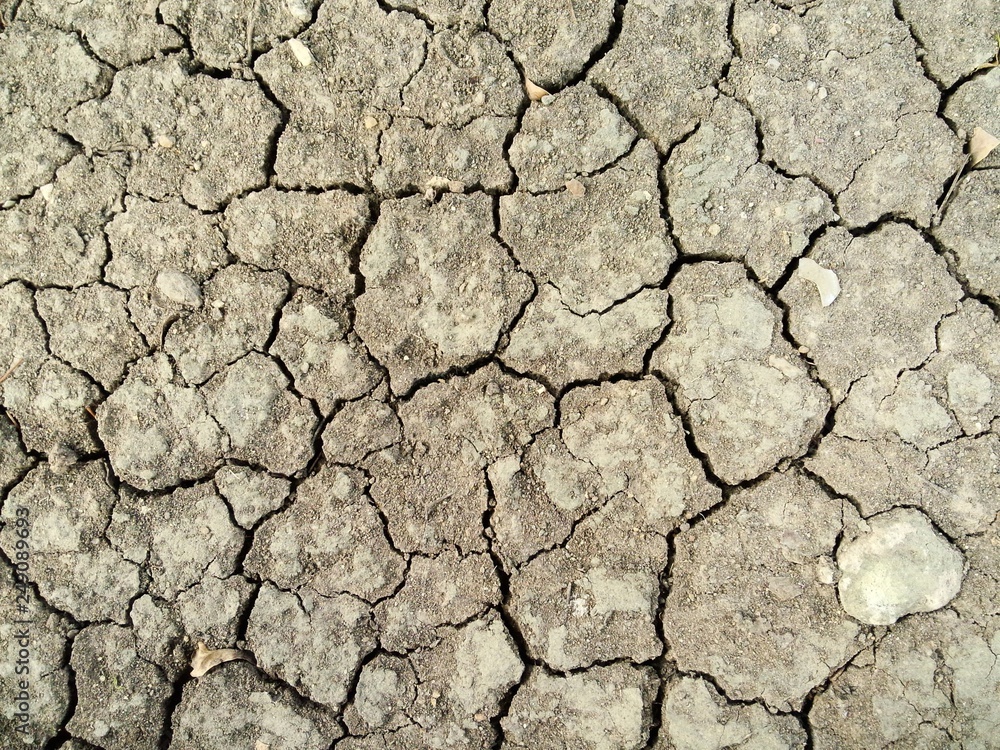 Dry soil cracking Dry soil cracking