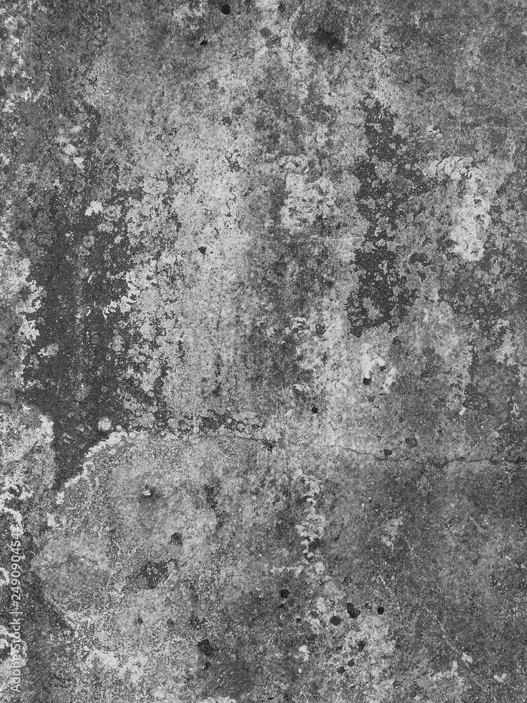 Obraz premium grunge wall with mold