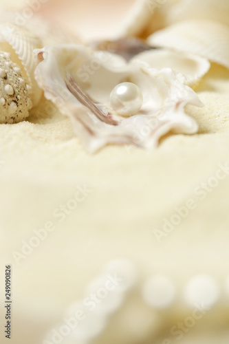 Organic pearl in a shell. Beautiful seashells arrangement on the white beach sand. Treasure from the sea concept.
