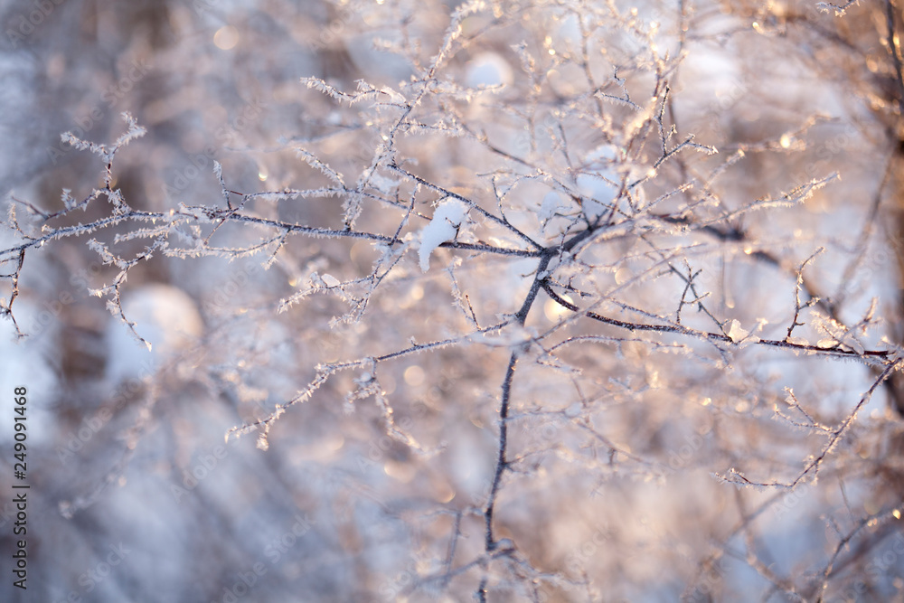frozen branch macro outside