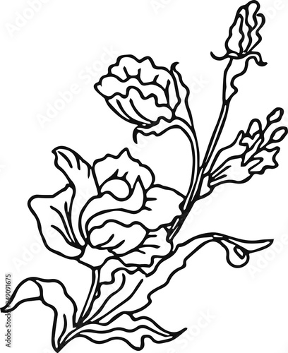 Beautiful rose.Vector illustration.