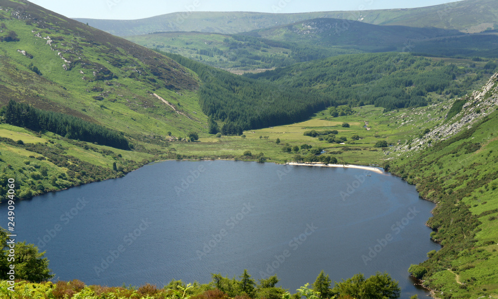 Fototapeta premium The northern part of Lake Dan.Wicklow Mountains.Ireland. 