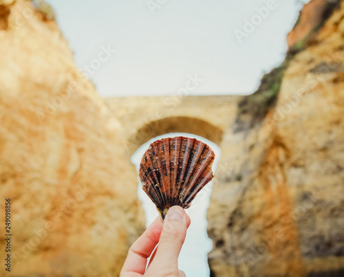 Fitting a Seashell
