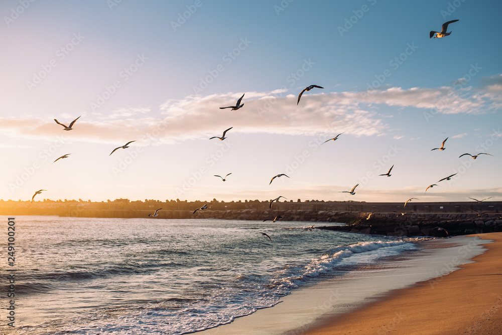 Beautiful sunset on the beach with flock of birds