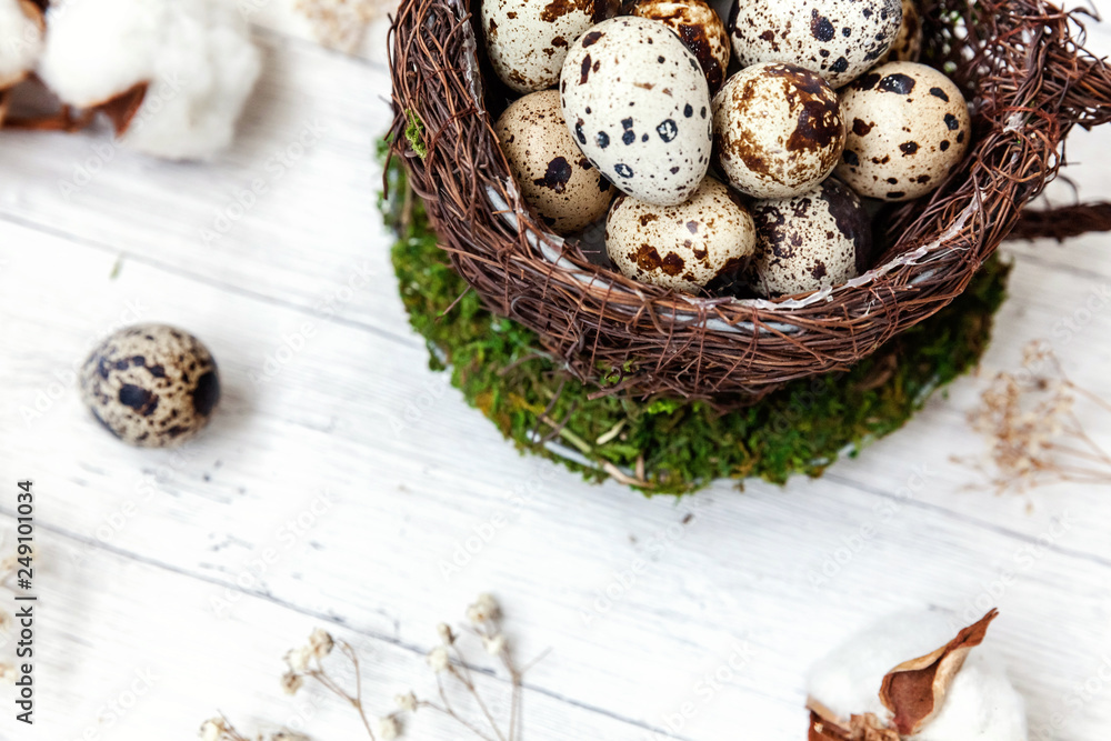 Easter decoration with egg in nest cup and cotton on white wooden background. Easter concept. Flat lay top view copy space. Spring greeting card Easter decoration with egg in nest cup and cotton on white wooden background. Easter concept. Flat lay top view copy space. Spring greeting card