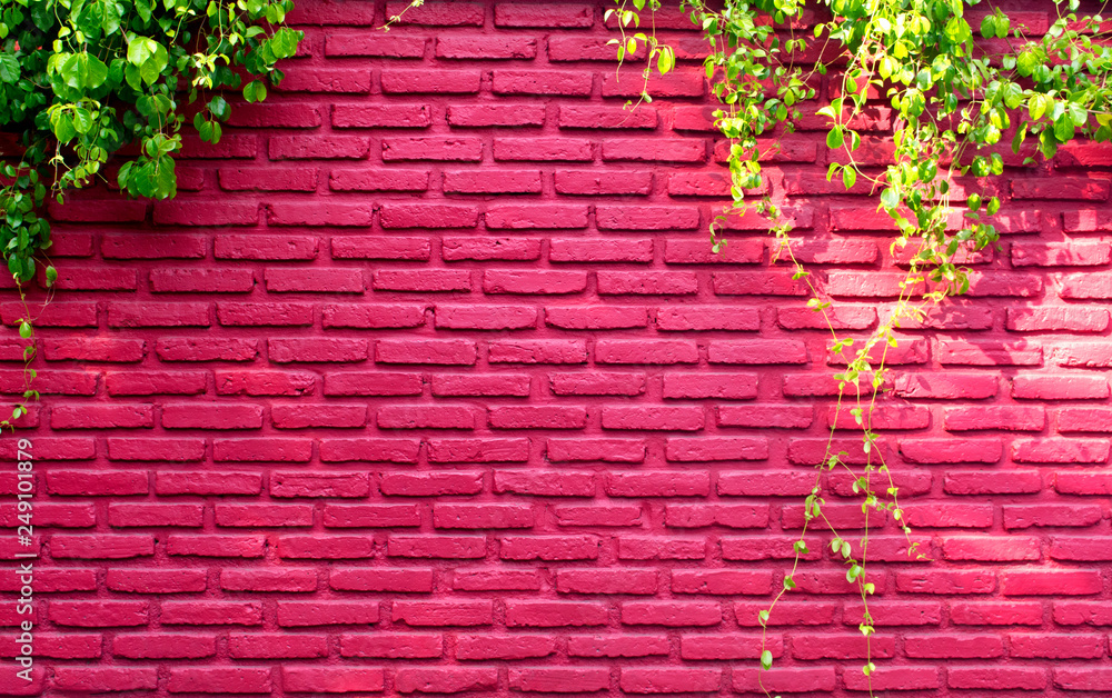 Real red brick wall pattern and a vine climb on use for exterior design or backdrop