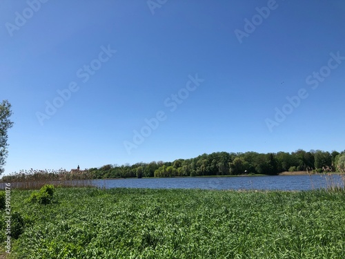 Pond in Nyasvizh, Belarus in summer