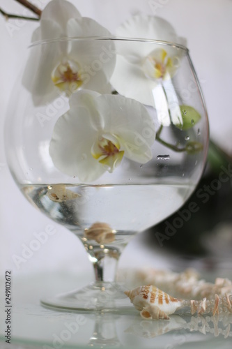 White Orchid festive decoration