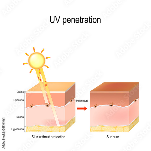 uv penetration