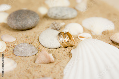 Selective focus on two golden wedding rings on nice golden sand, surrounded by white tropical sea shells. Tropical wedding or honeymoon destination background concept. Studio shot. Room for text.