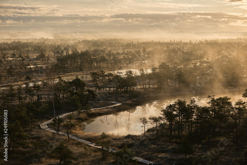 Rising fog on a colorful and calm evening in a swamp of Kemeri National Park in Latvia - Image