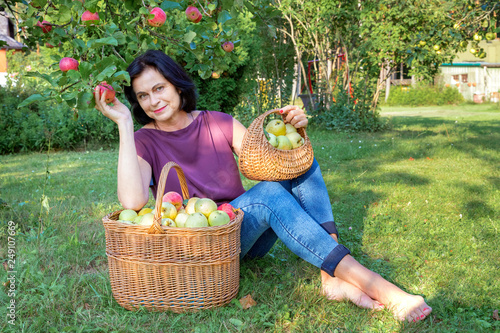 Woman sits by basket with apples and holds red ripe apples in hand. Concept of harvesting, gardening and agriculture