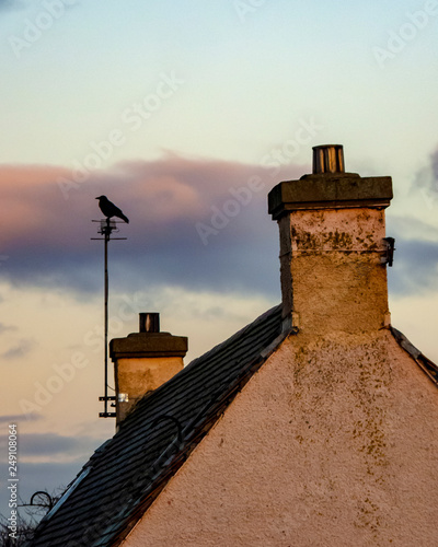Wallpaper Mural Edinburgh Sky Bird Torontodigital.ca