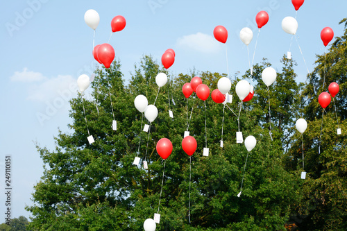Red and white ballons flying with wish cards in the sky on a sunny day with a green tree in the background